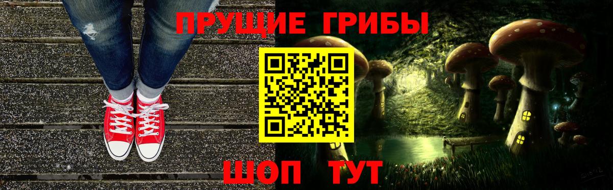 купить наркотик  Псилоцибиновые грибы GOLDEN TEACHER  Вход с VPN  Выборг 